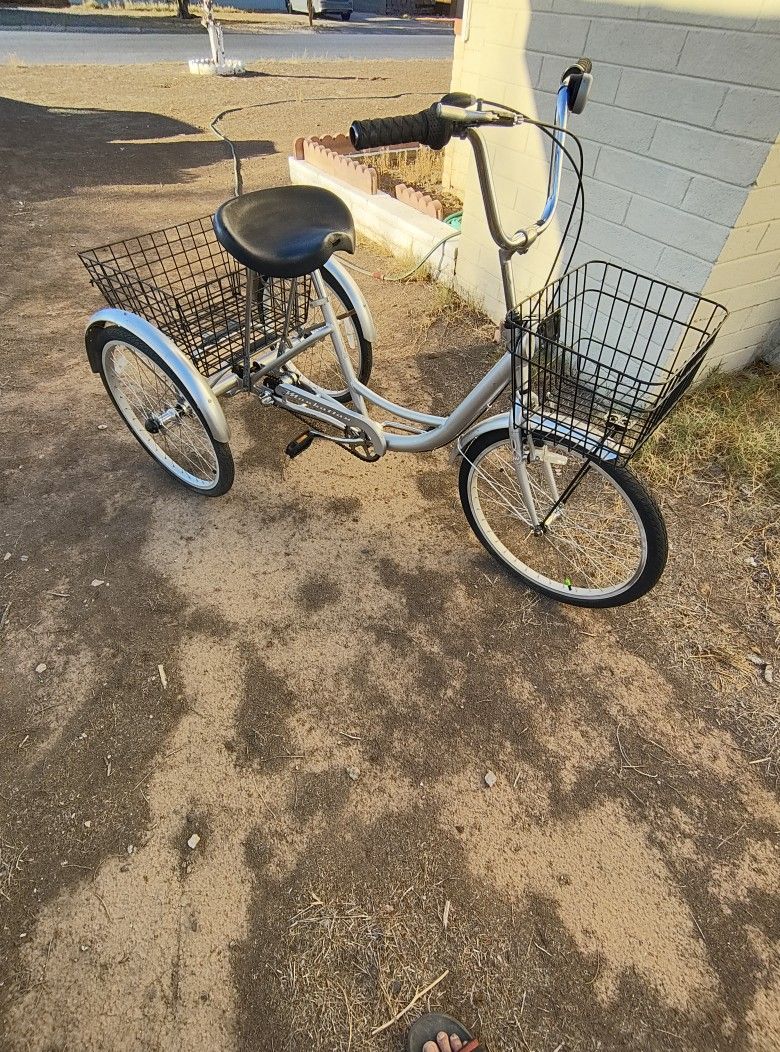 Adult Trike