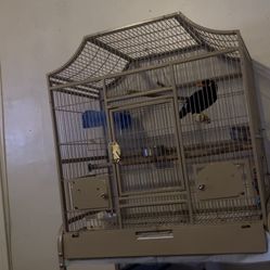 Bird Cage