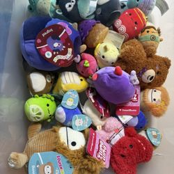 Plush Bundle, Squishmallows & Bumbumz 