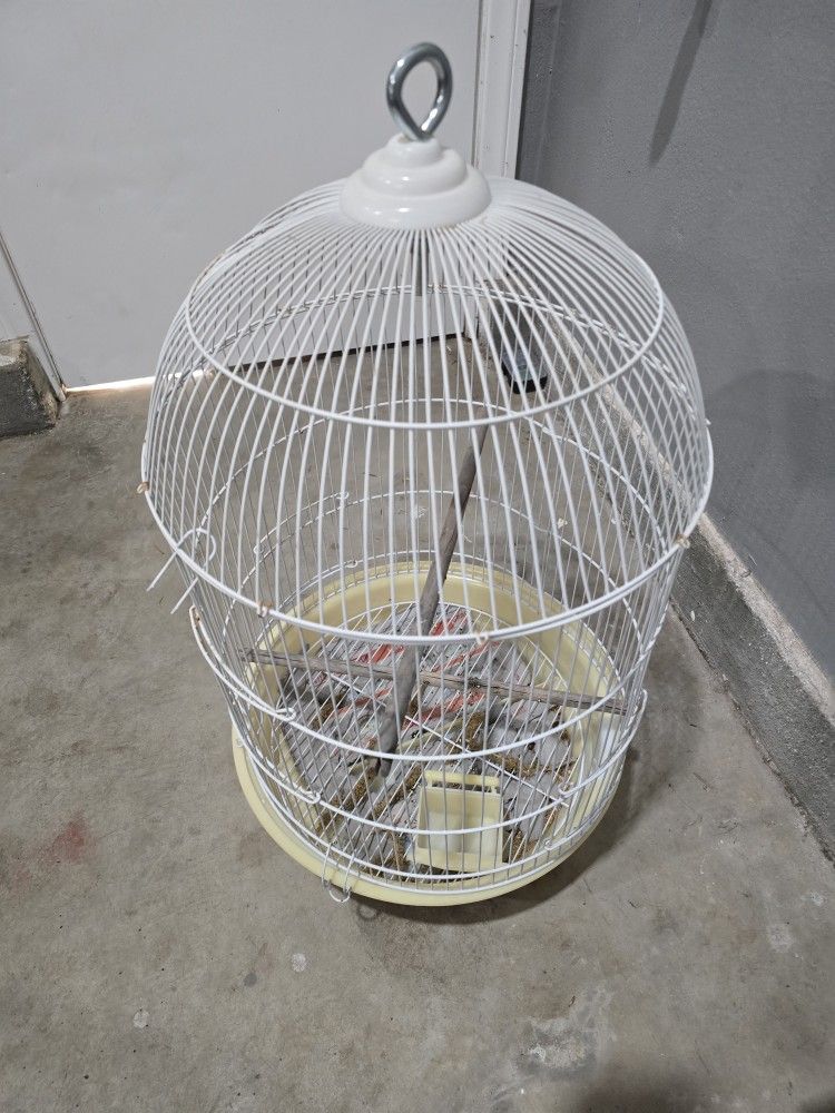 Bird Cage