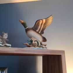 Wellington Collection Duck