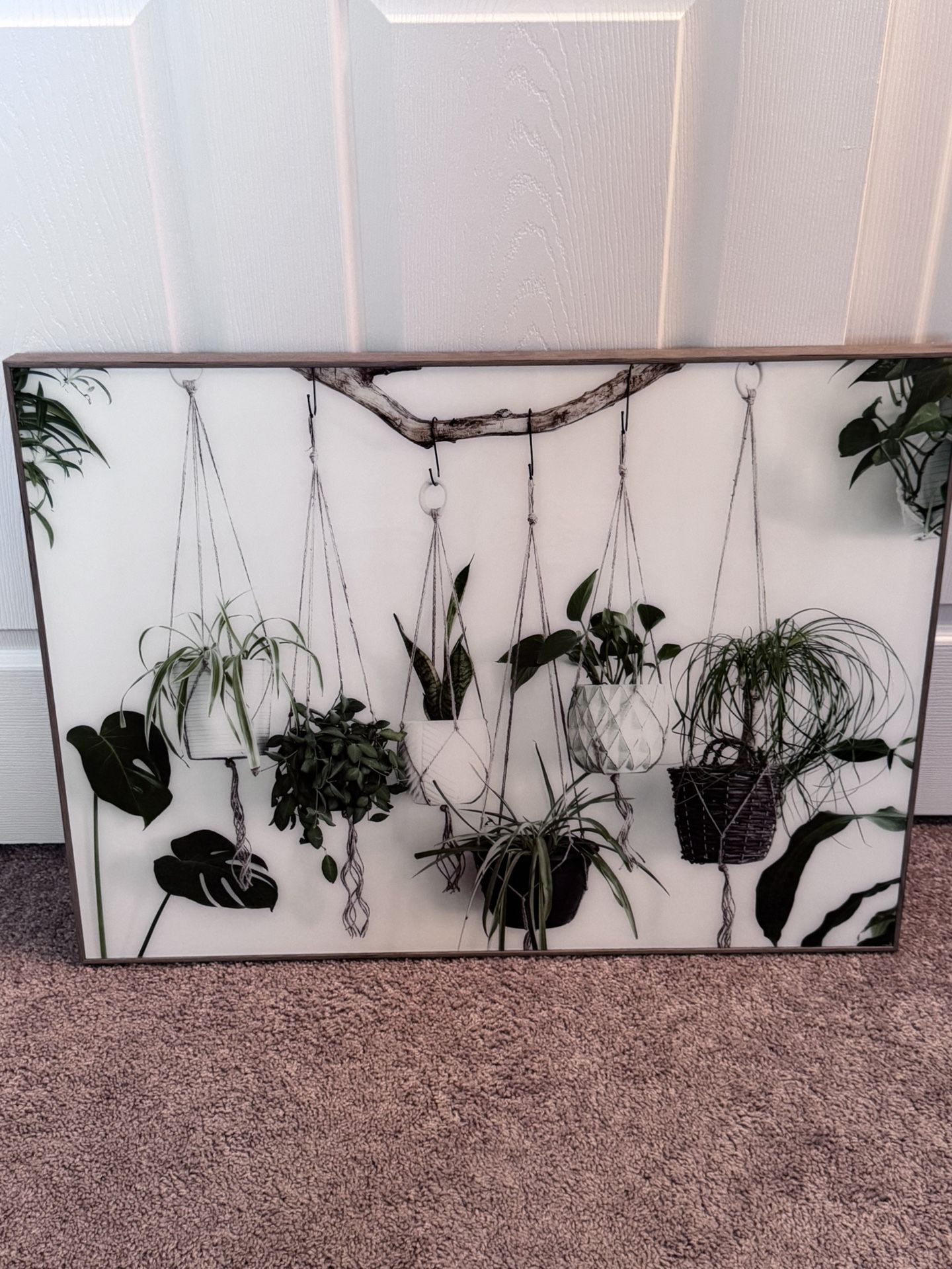 Hanging Plant Picture In Frame