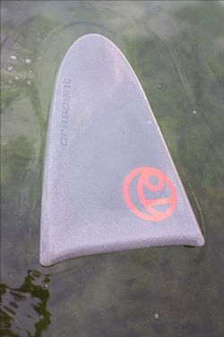 Skim Board