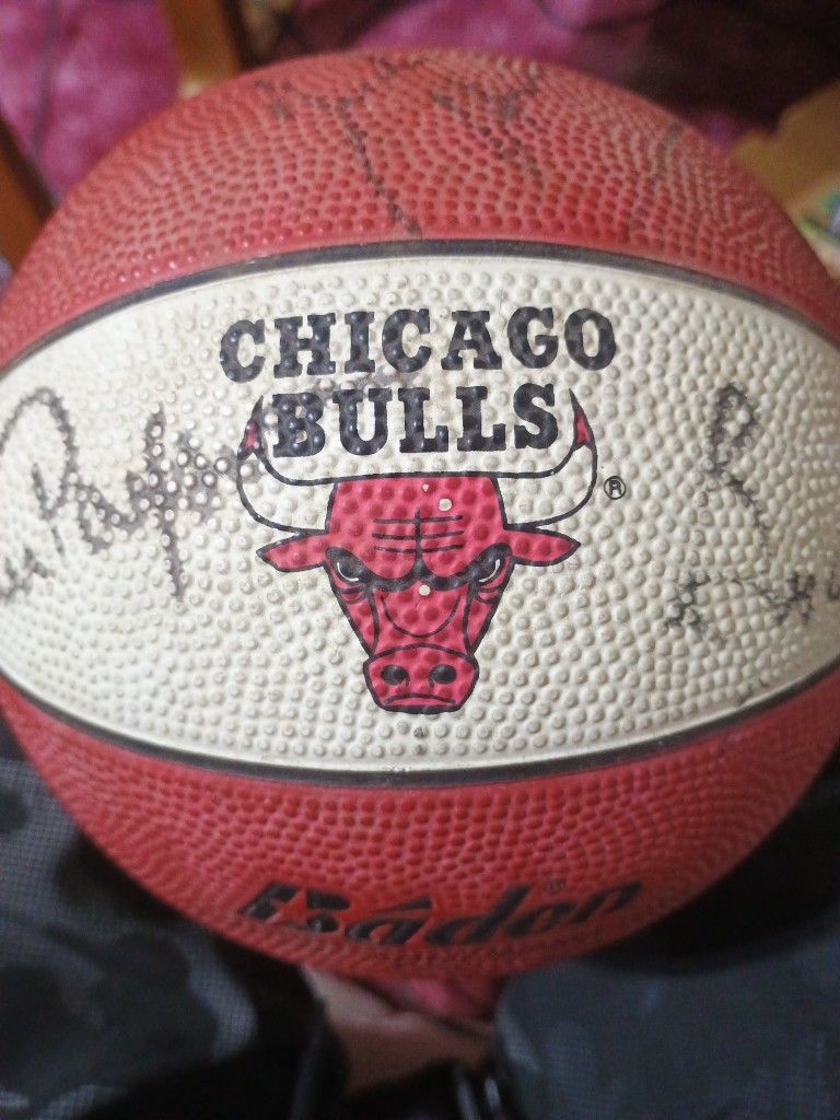 Signed Bulls Basketball Championship Team