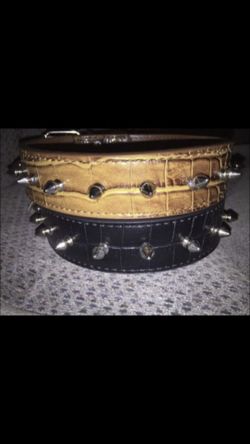 Spiked Dog Collar