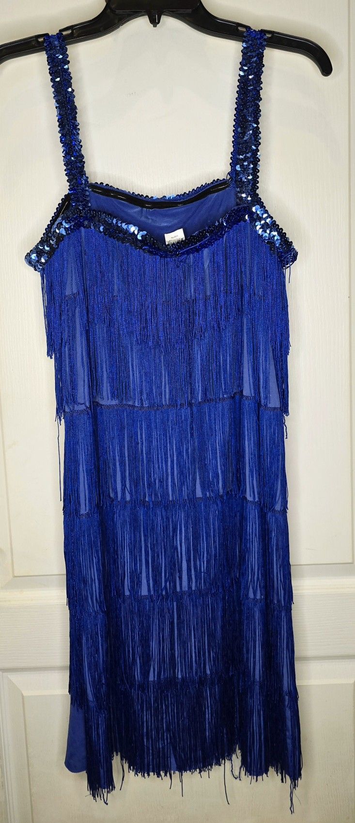 Women's Flapper Girl Halloween Dress Costume