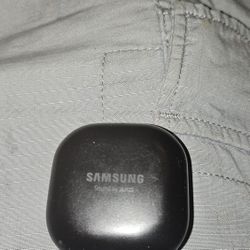 Case Only Galaxy Buds Pro 1 