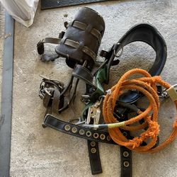 Trimming Equipment