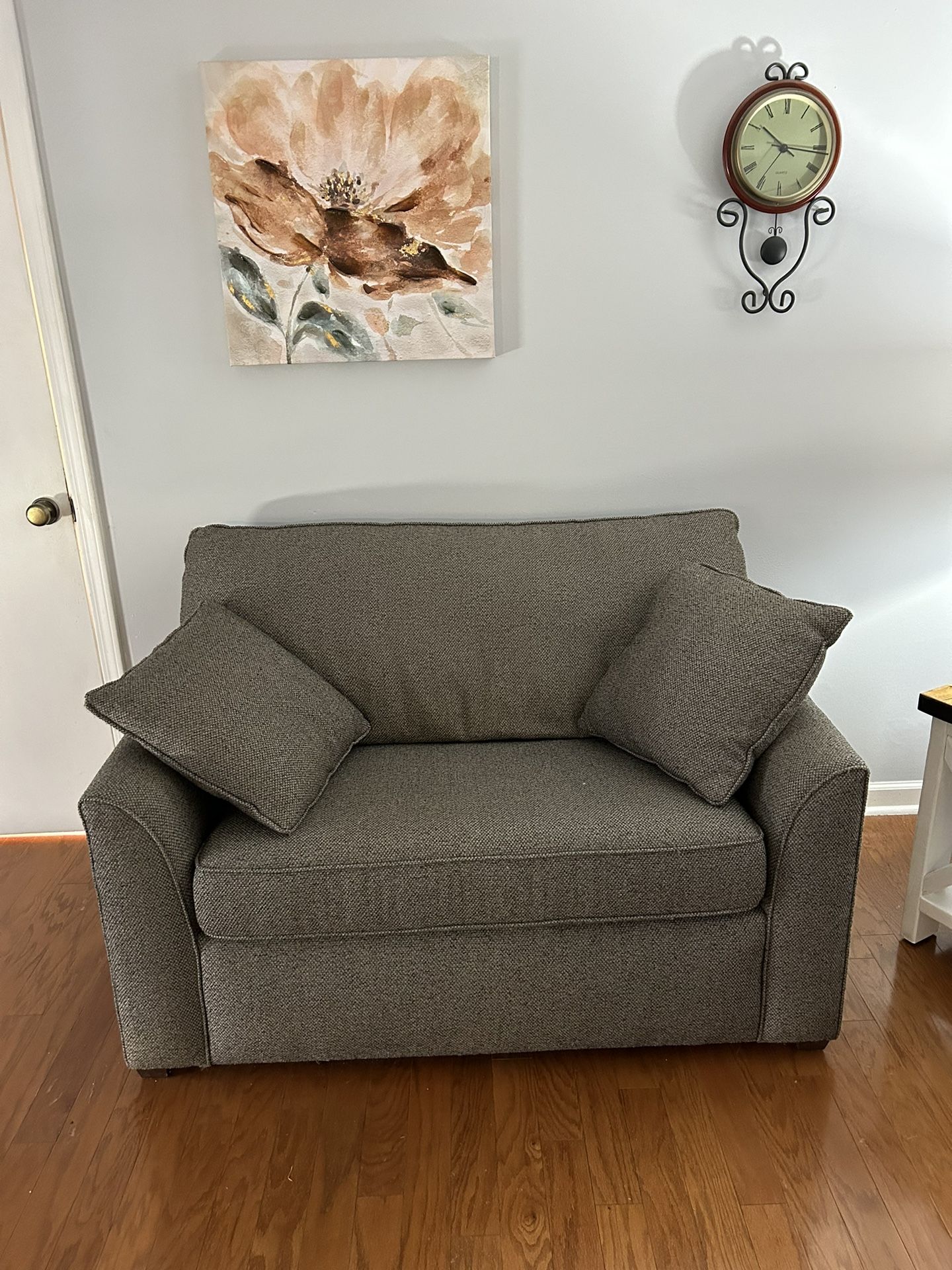 Love Seat With Fold Out Bed 