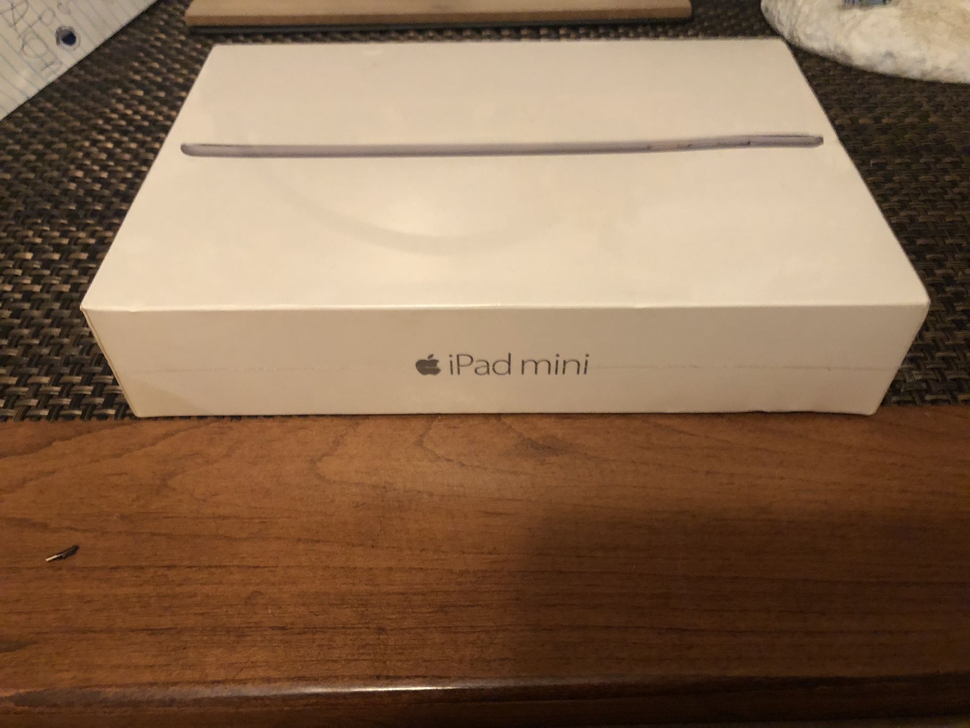 iPad Mini 