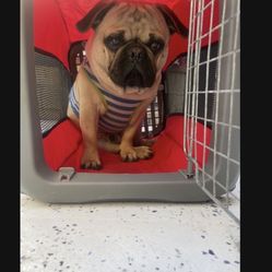 Portable  kennel able to fold able to travel 