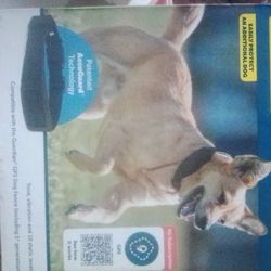 Dog Gps Collar 
