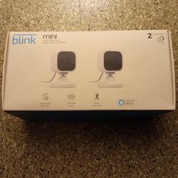 Blink. Mini Camera x2