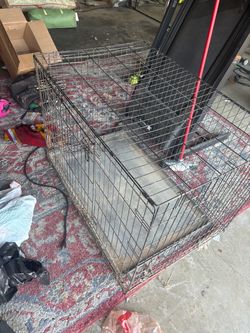 XL Kennel