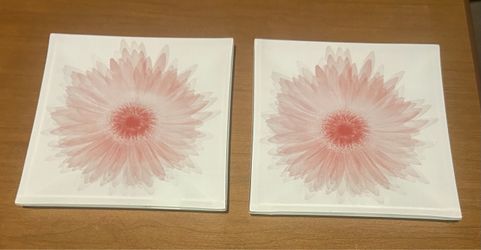 Set of 2 Square Floral Ceramic Plates