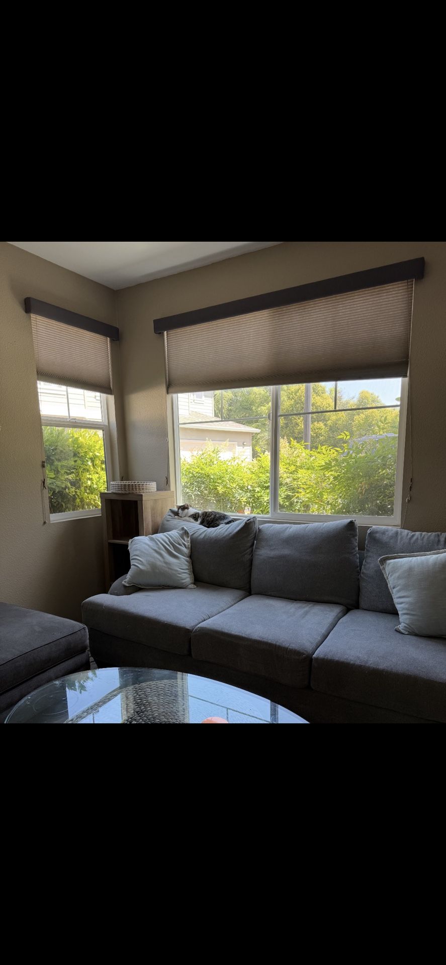 Couch For Sale
