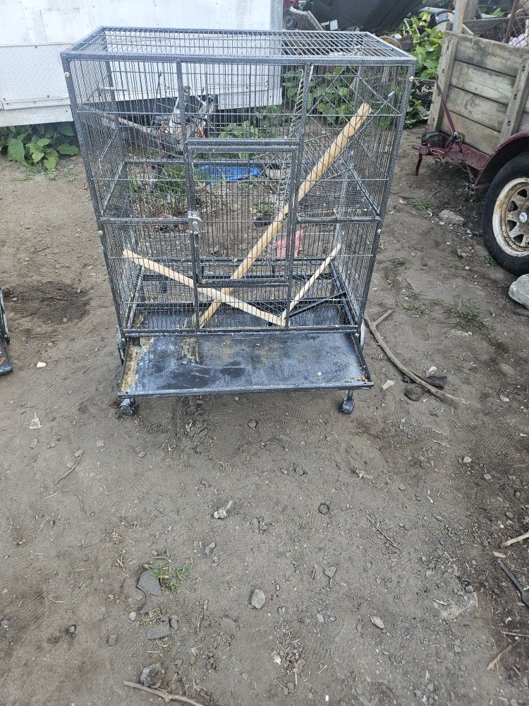 Bird Or Ect Cage