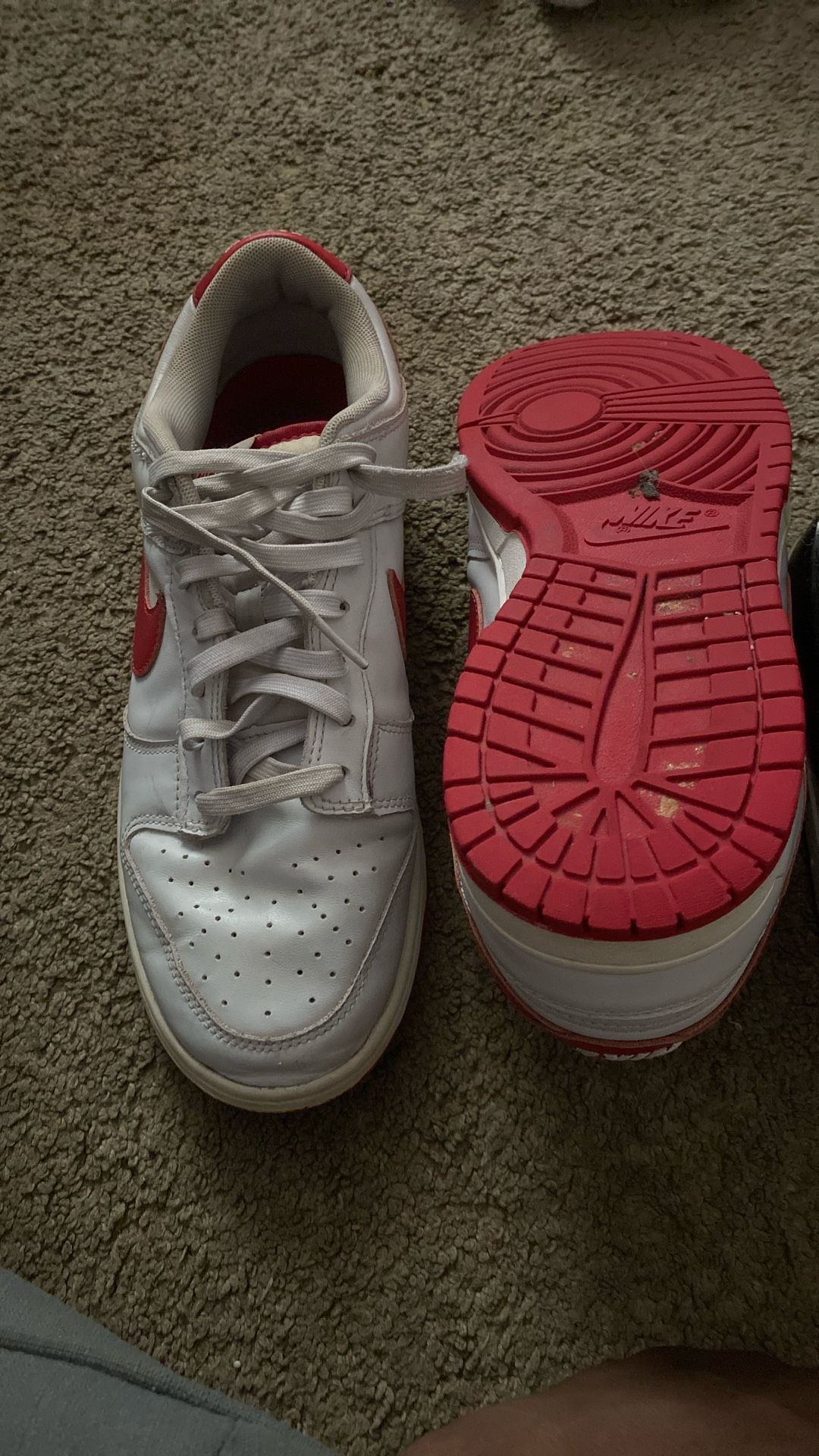 Nike Red Bottoms Dunks
