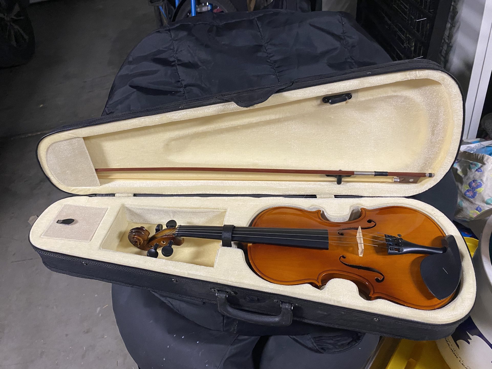 Violin