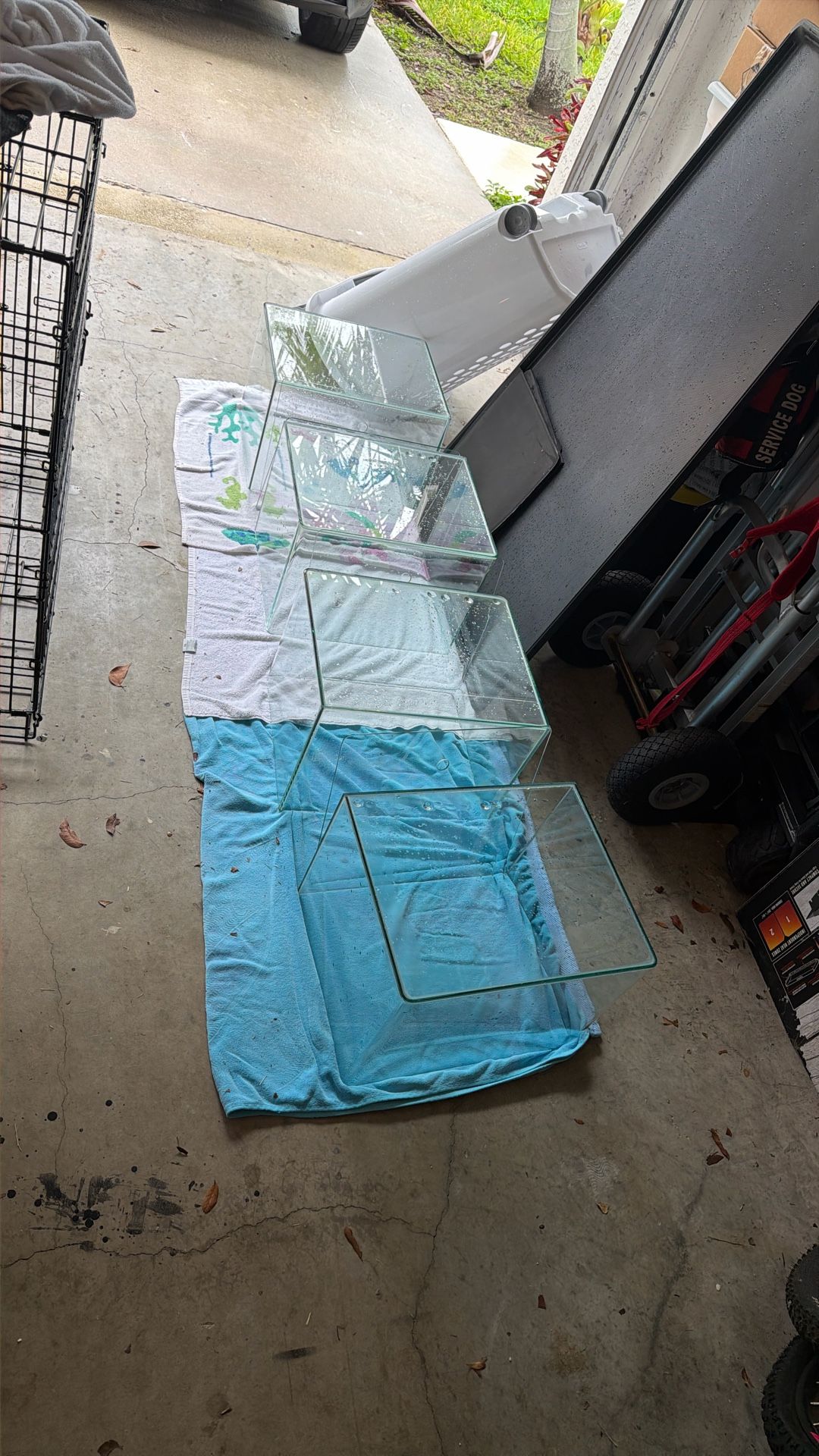 Aquatic Freshwater Shrimp Setup Tanks Will All Supplies