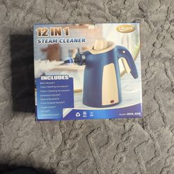 Steam Cleaner