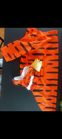 Dog costume
