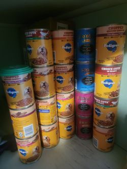 Can dog food