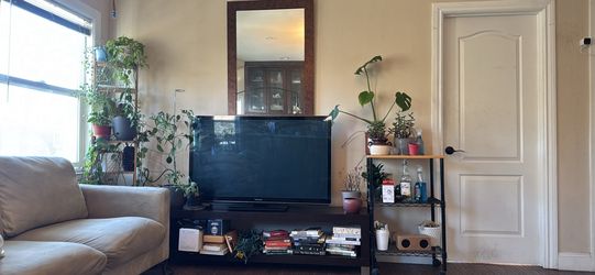 Panasonic vista 50” plasma HDTV