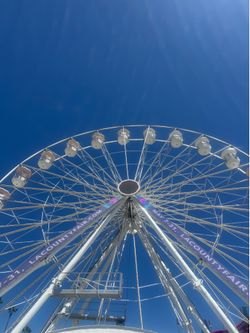 LA COUNTY FAIR