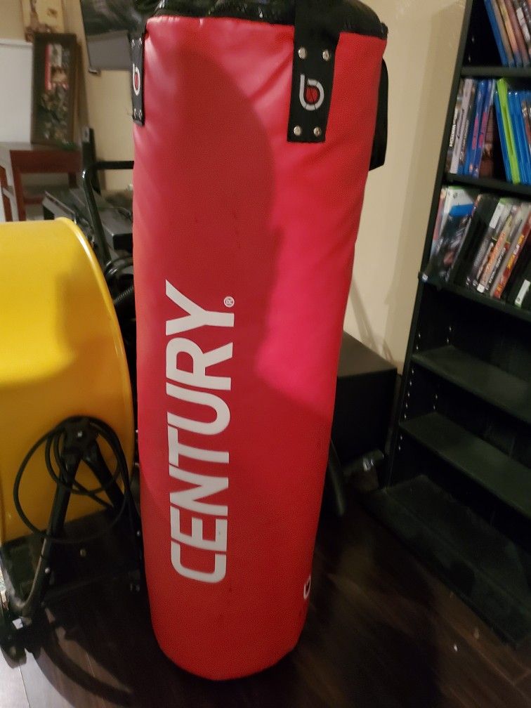 Punching Bag