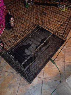 XL dog crate.