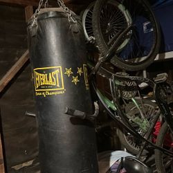 large punching bag 