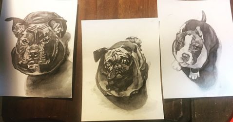 Portrait of your pet!