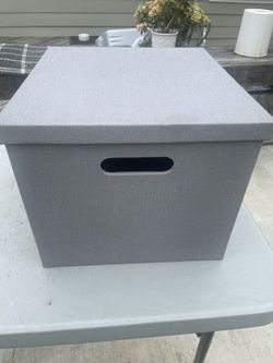 Gray Storage Bins (2)