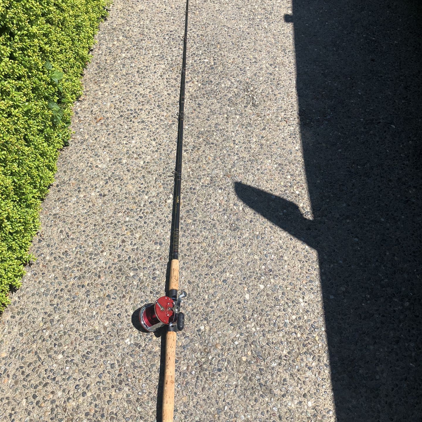 Fishing Reels Sale for Sale in Maple Valley, WA - OfferUp