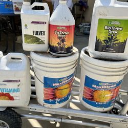 Fertilizer General Organics And General Hydrophonics