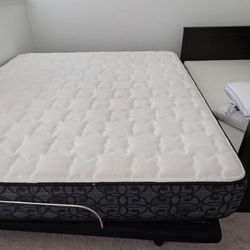 Kingdown KING Mattress