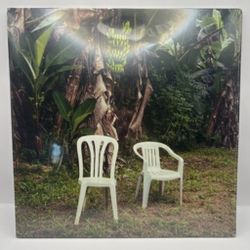 Bad Bunny Vinyl Album 