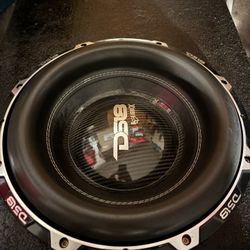 DS18 Hooligan X 15”