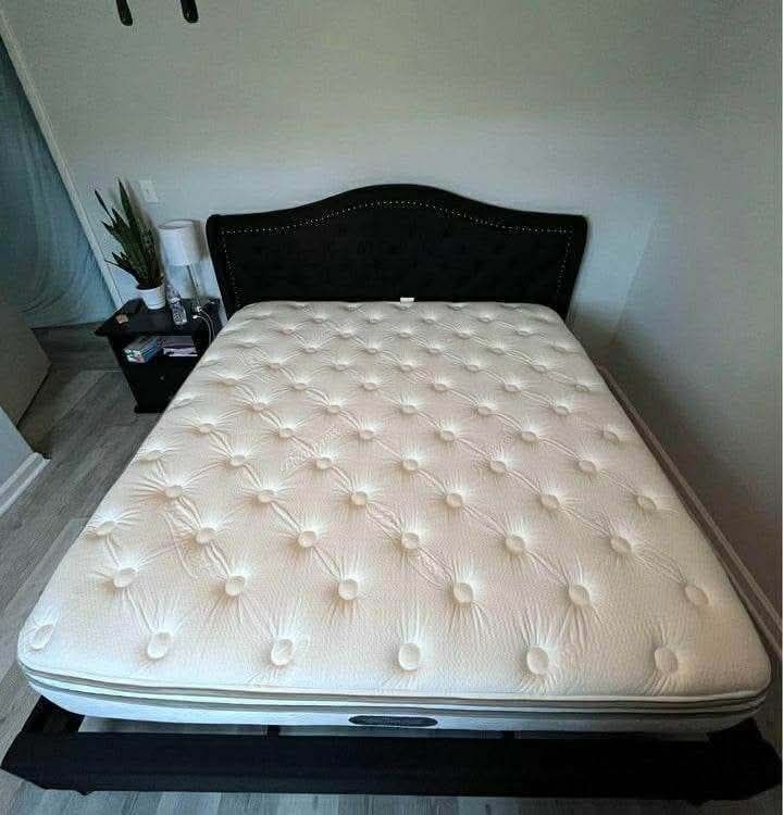 Brand New bed with brand new mattress
