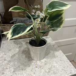 Hearth And Hand Faux Plant $12
