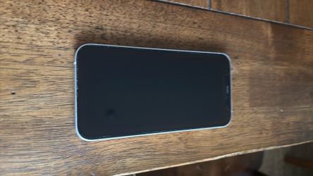 iPhone 12 with case
