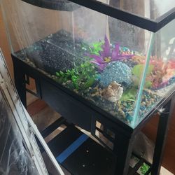 Fish Tank With Stand