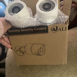 Outdoor Cameras 