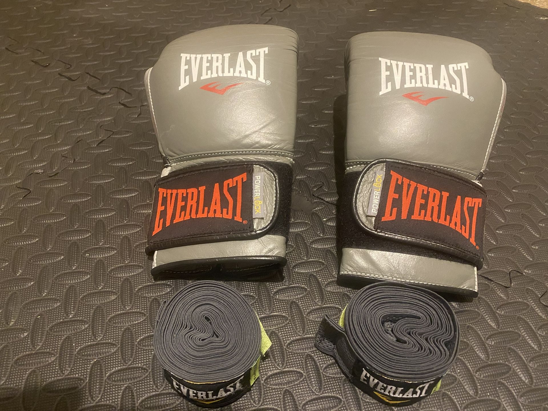 Everlasting 16ounce Leather Boxing Gloves