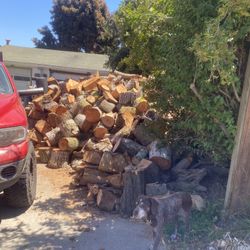 Firewood And Slabs 