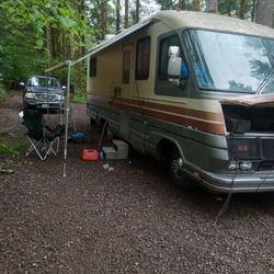 1987 Fleetwood Pacearrow