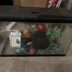 Fish tank