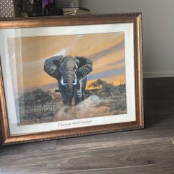 Charging Bull Elephant  Don Balke 