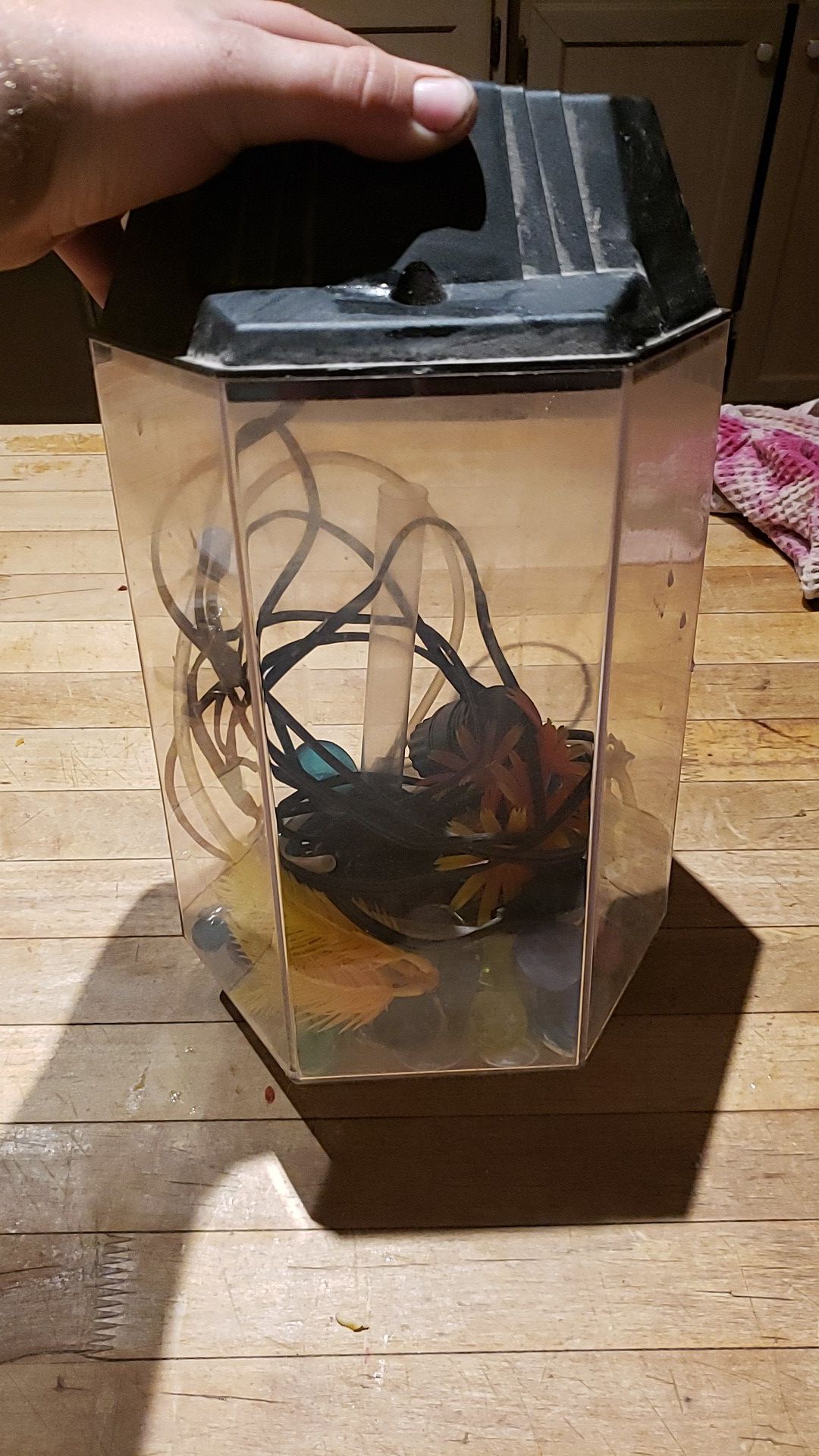 2 gallon fish tank with extras